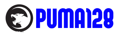 PUMA128